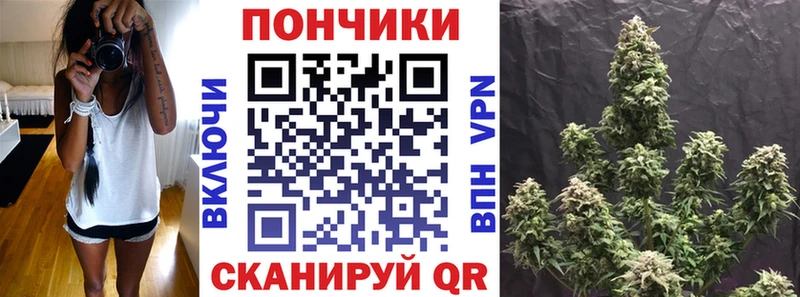 где купить наркоту  Калуга  Шишки марихуана OG Kush 